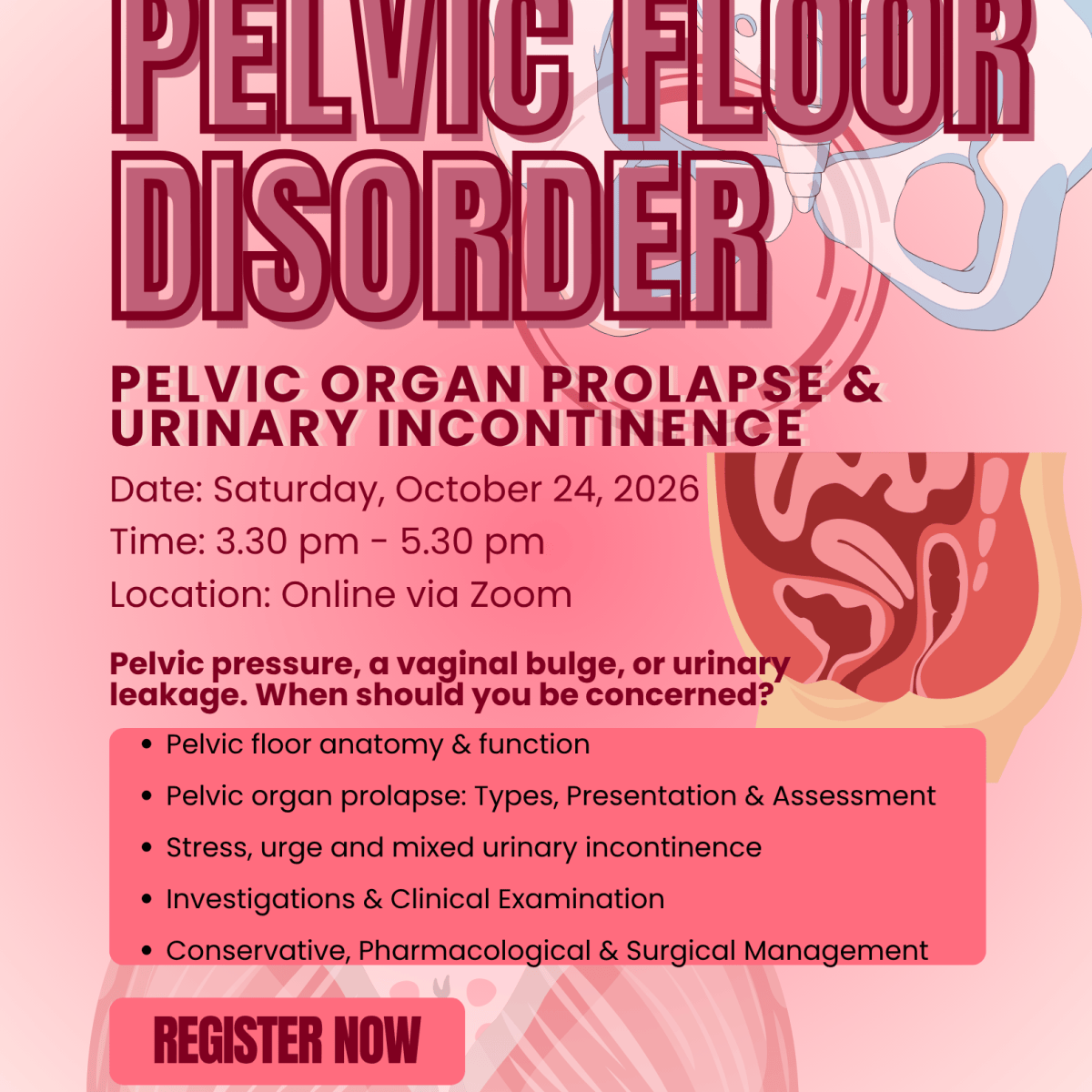Lecture Series 6: Pelvic Floor&nbsp;Disorder